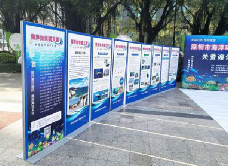 如东KT板的种类和知识。